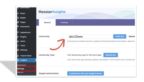 Set up stats dashboard with monsterinsights